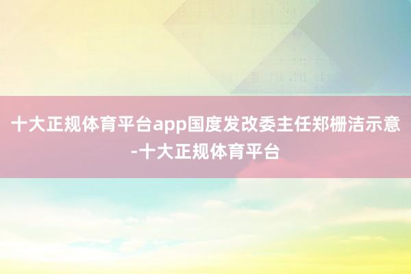 十大正规体育平台app国度发改委主任郑栅洁示意-十大正规体育平台