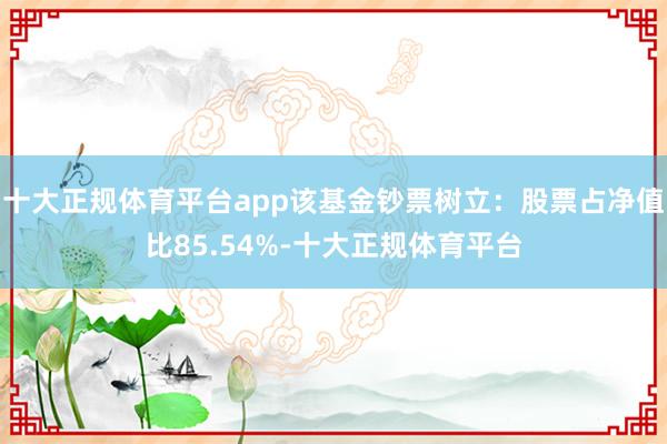 十大正规体育平台app该基金钞票树立：股票占净值比85.54%-十大正规体育平台