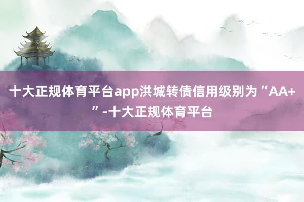 十大正规体育平台app洪城转债信用级别为“AA+”-十大正规体育平台