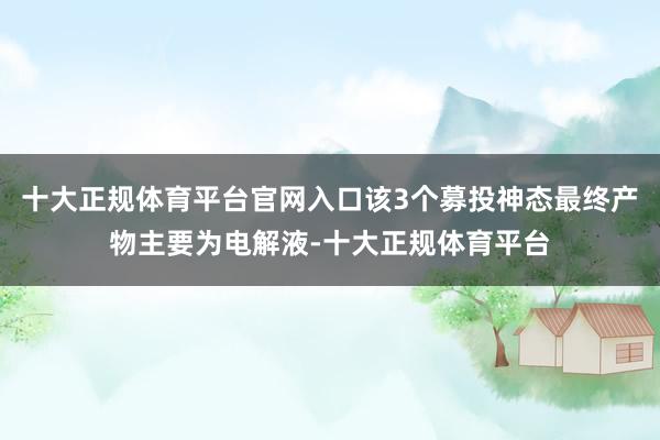 十大正规体育平台官网入口该3个募投神态最终产物主要为电解液-十大正规体育平台