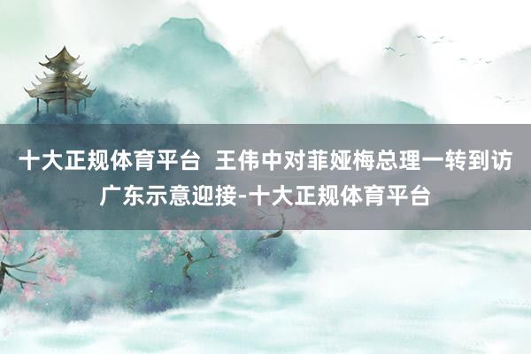 十大正规体育平台  王伟中对菲娅梅总理一转到访广东示意迎接-