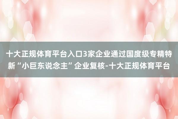 十大正规体育平台入口3家企业通过国度级专精特新“小巨东说念主”企业复核-十大正规体育平台