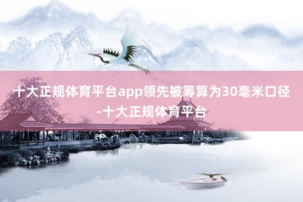 十大正规体育平台app领先被筹算为30毫米口径-十大正规体育