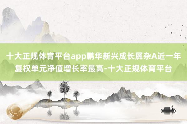 十大正规体育平台app鹏华新兴成长羼杂A近一年复权单元净值增