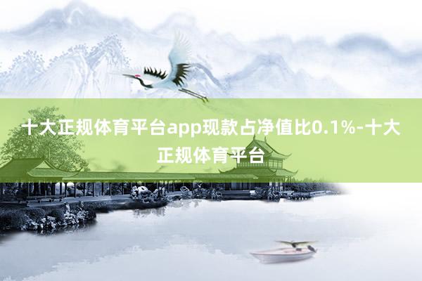 十大正规体育平台app现款占净值比0.1%-十大正规体育平台