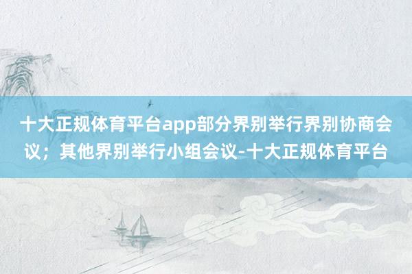 十大正规体育平台app部分界别举行界别协商会议；其他界别举行