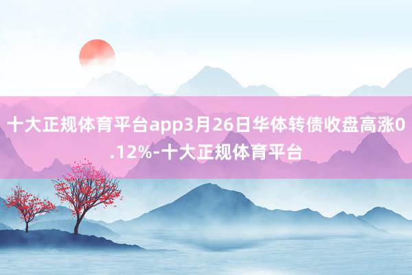 十大正规体育平台app3月26日华体转债收盘高涨0.12%-十大正规体育平台