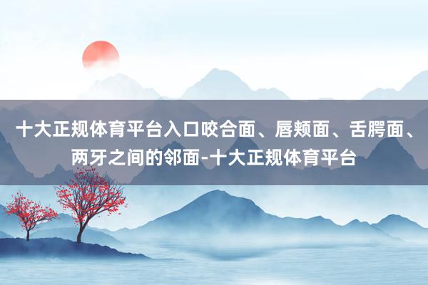 十大正规体育平台入口咬合面、唇颊面、舌腭面、两牙之间的邻面-