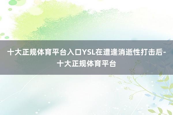 十大正规体育平台入口YSL在遭逢消逝性打击后-十大正规体育平