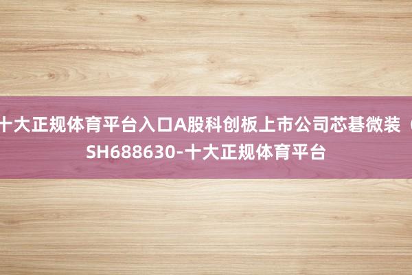 十大正规体育平台入口A股科创板上市公司芯碁微装（SH6886