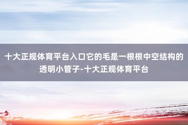 十大正规体育平台入口它的毛是一根根中空结构的透明小管子-十大