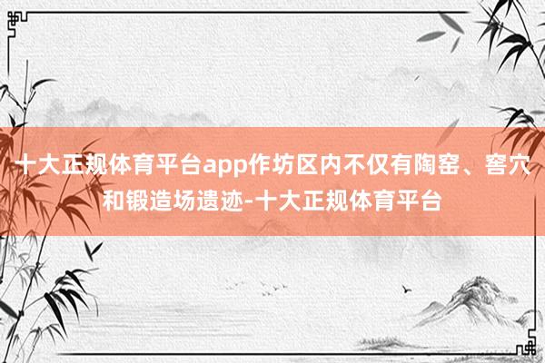 十大正规体育平台app作坊区内不仅有陶窑、窖穴和锻造场遗迹-十大正规体育平台