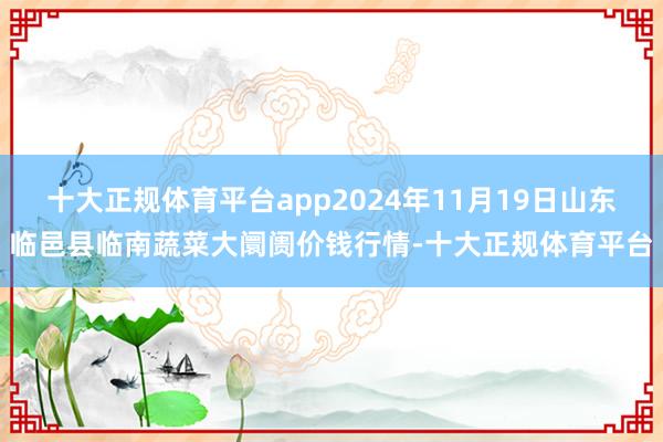 十大正规体育平台app2024年11月19日山东临邑县临南蔬