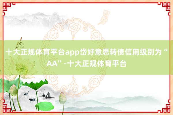 十大正规体育平台app岱好意思转债信用级别为“AA”-十大正