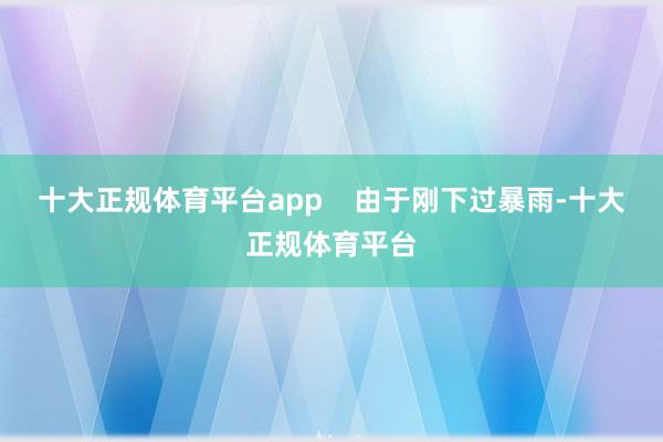 十大正规体育平台app    由于刚下过暴雨-十大正规体育平