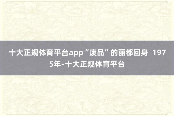 十大正规体育平台app“废品”的丽都回身  1975年-十大