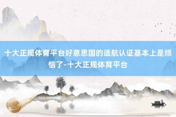 十大正规体育平台好意思国的适航认证基本上是烦恼了-十大正规体