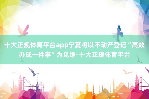 十大正规体育平台app宁夏将以不动产登记“高效办成一件事”为