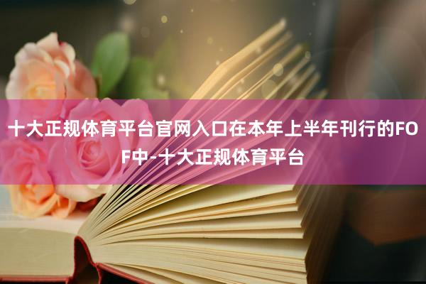 十大正规体育平台官网入口在本年上半年刊行的FOF中-十大正规