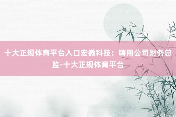 十大正规体育平台入口宏微科技：聘用公司财务总监-十大正规体育