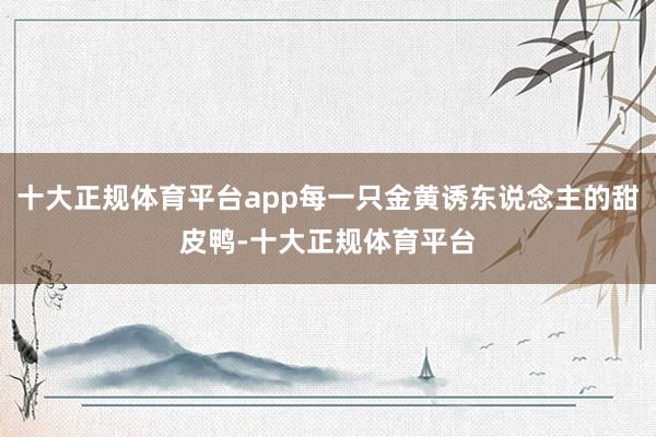 十大正规体育平台app每一只金黄诱东说念主的甜皮鸭-十大正规体育平台