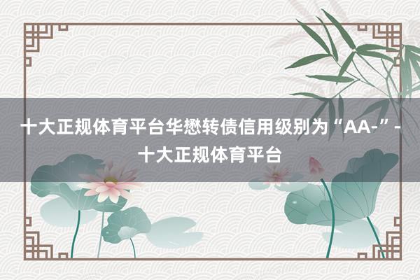 十大正规体育平台华懋转债信用级别为“AA-”-十大正规体育平台