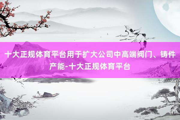 十大正规体育平台用于扩大公司中高端阀门、铸件产能-十大正规体育平台