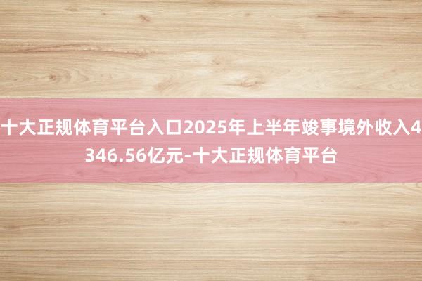 十大正规体育平台入口2025年上半年竣事境外收入4346.56亿元-十大正规体育平台