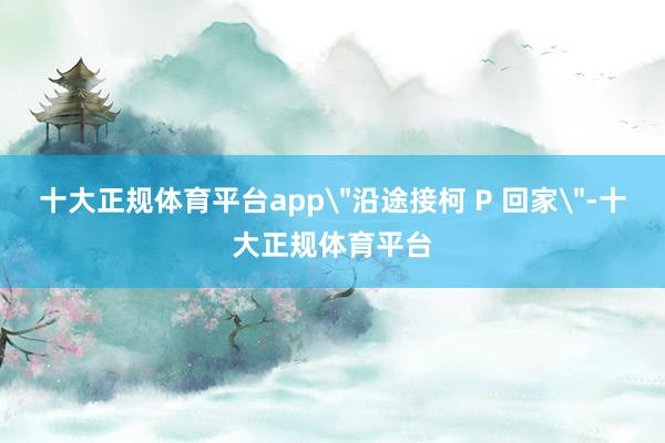 十大正规体育平台app