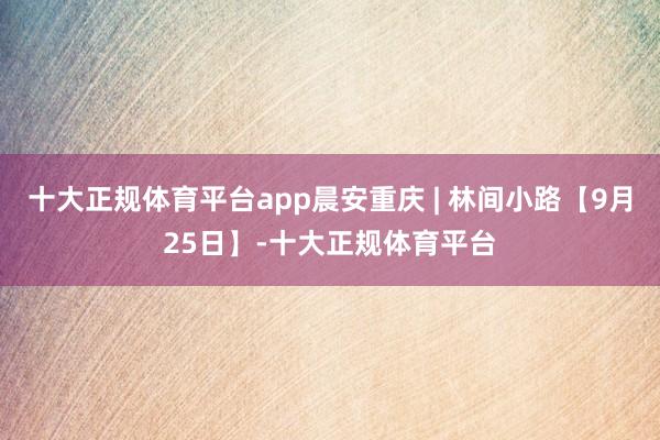 十大正规体育平台app晨安重庆 | 林间小路【9月25日】-十大正规体育平台
