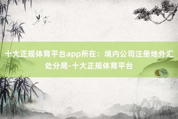 十大正规体育平台app所在：境内公司注册地外汇处分局-十大正规体育平台
