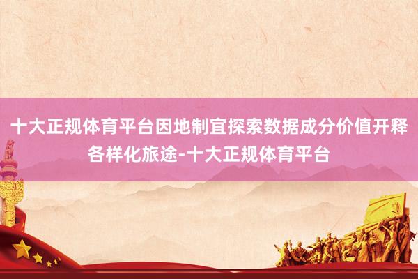 十大正规体育平台因地制宜探索数据成分价值开释各样化旅途-十大