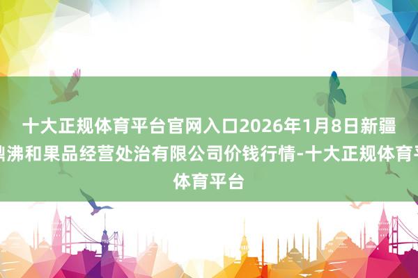 十大正规体育平台官网入口2026年1月8日新疆九鼎沸和果品经