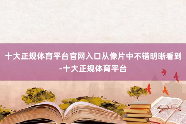 十大正规体育平台官网入口从像片中不错明晰看到-十大正规体育平